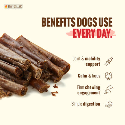 Natural Farm 4-In Gourmet Collagen Treat Stick Rawhide Alternatives - 10 Count, 95% Collagen, Premium Beef, Long-Lasting Dog Chew Treats, Chewy Rawhide