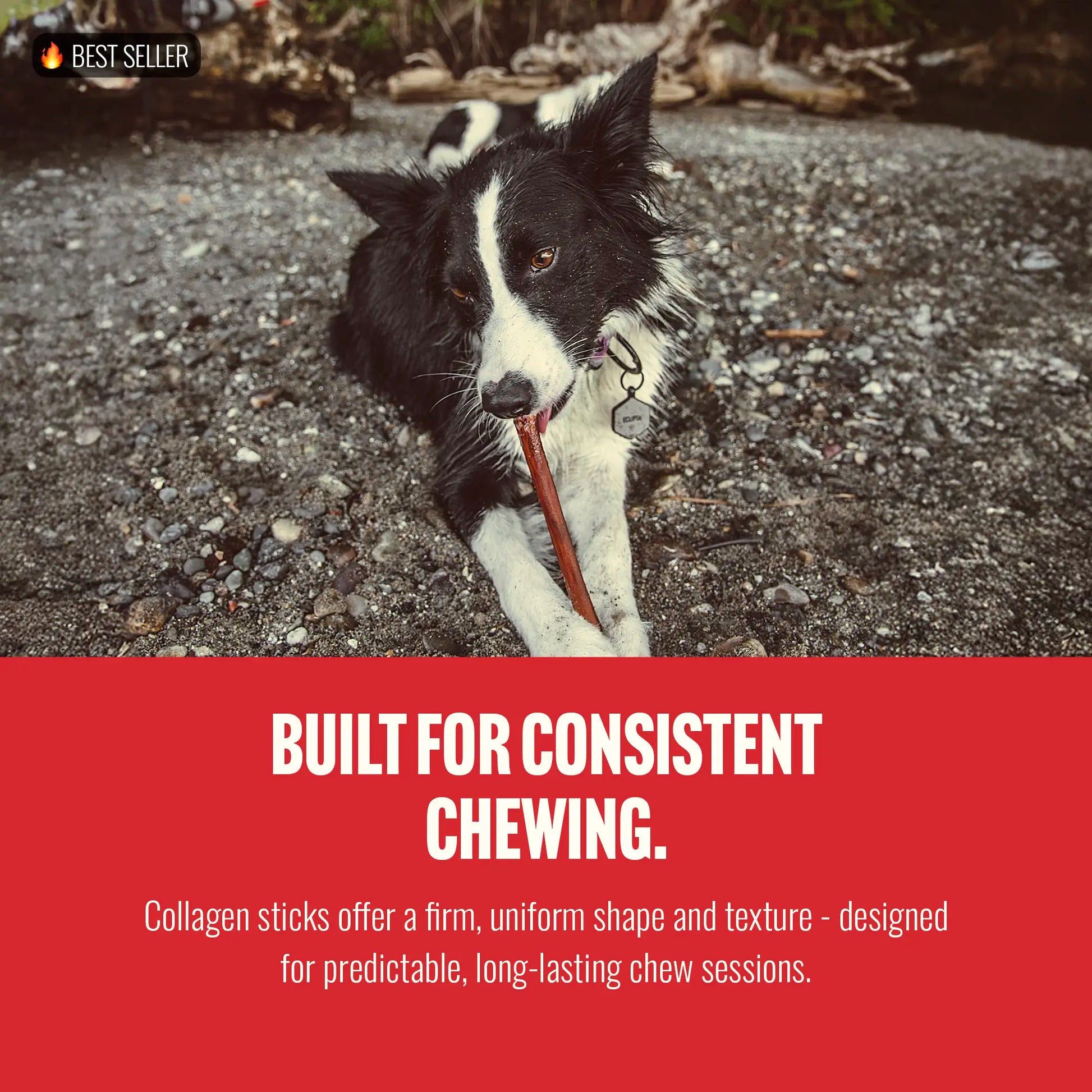 Natural Farm 4-In Gourmet Collagen Treat Stick Rawhide Alternatives - 10 Count, 95% Collagen, Premium Beef, Long-Lasting Dog Chew Treats, Chewy Rawhide