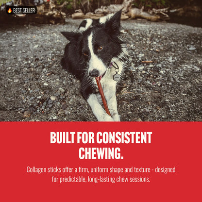 Natural Farm 4-In Gourmet Collagen Treat Stick Rawhide Alternatives - 10 Count, 95% Collagen, Premium Beef, Long-Lasting Dog Chew Treats, Chewy Rawhide