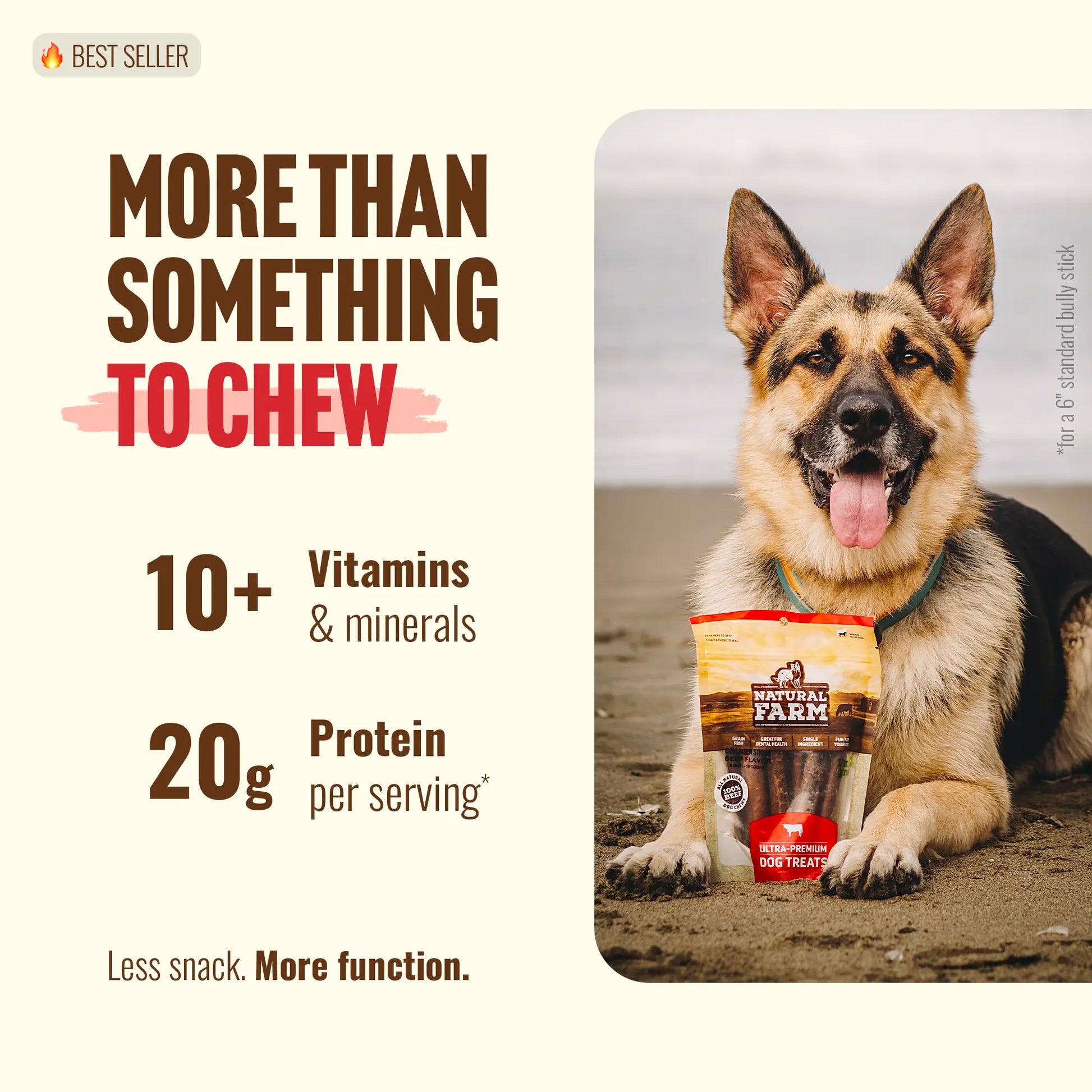 Natural Farm 4-In Gourmet Collagen Treat Stick Rawhide Alternatives - 10 Count, 95% Collagen, Premium Beef, Long-Lasting Dog Chew Treats, Chewy Rawhide